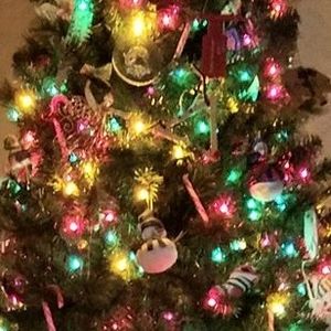 Meet your Posher, Kara